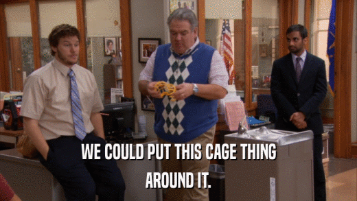 WE COULD PUT THIS CAGE THING AROUND IT. 