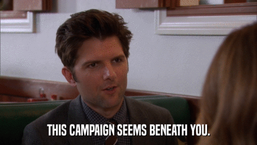 THIS CAMPAIGN SEEMS BENEATH YOU.  