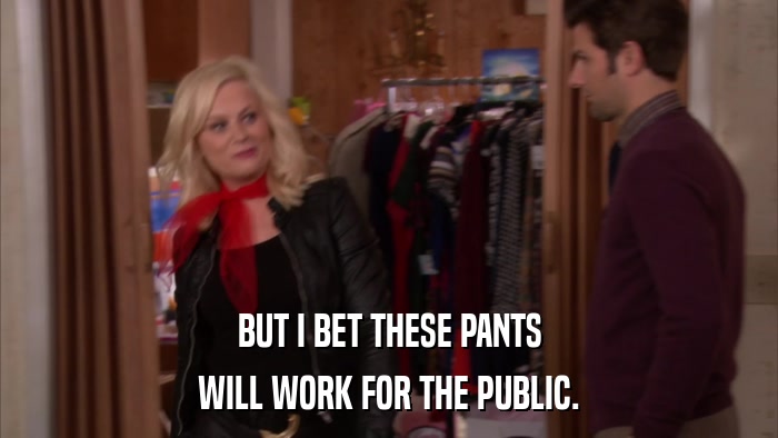 BUT I BET THESE PANTS WILL WORK FOR THE PUBLIC. 