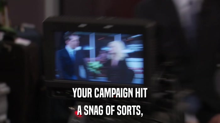 YOUR CAMPAIGN HIT A SNAG OF SORTS, 