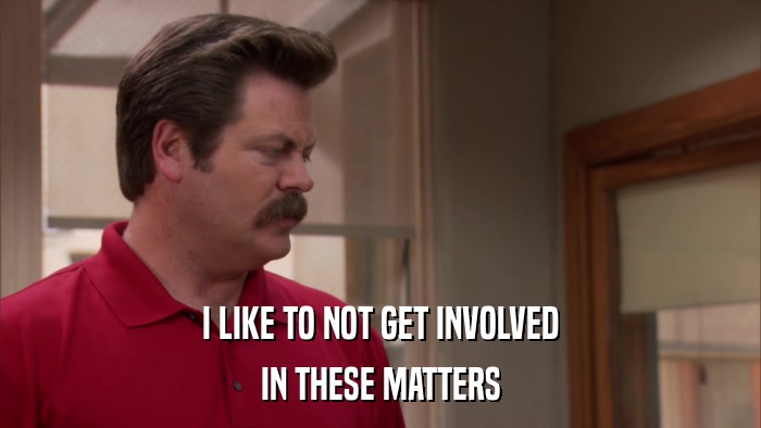 I LIKE TO NOT GET INVOLVED IN THESE MATTERS 