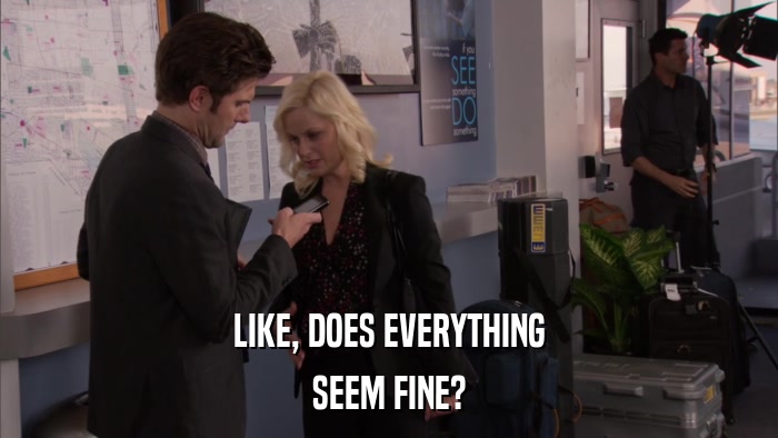 LIKE, DOES EVERYTHING SEEM FINE? 