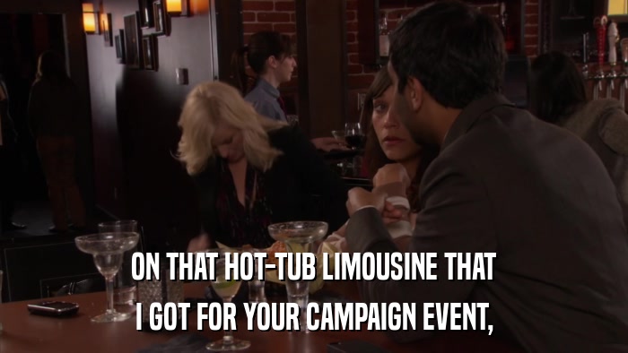ON THAT HOT-TUB LIMOUSINE THAT I GOT FOR YOUR CAMPAIGN EVENT, 