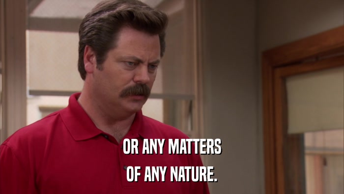 OR ANY MATTERS OF ANY NATURE. 