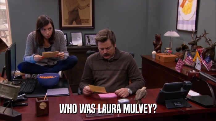 WHO WAS LAURA MULVEY?  