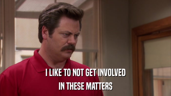 I LIKE TO NOT GET INVOLVED IN THESE MATTERS 