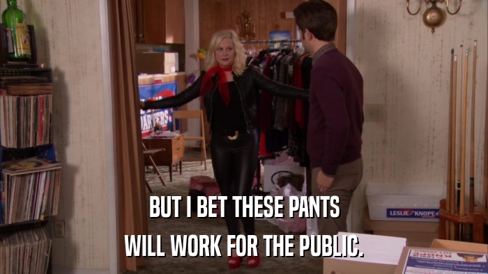BUT I BET THESE PANTS WILL WORK FOR THE PUBLIC. 