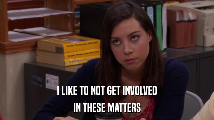 I LIKE TO NOT GET INVOLVED IN THESE MATTERS 