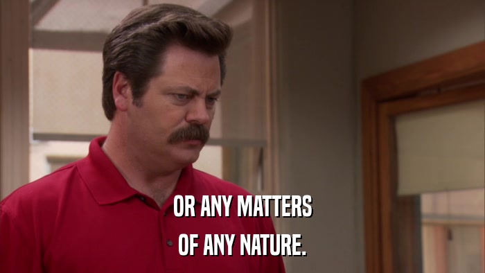 OR ANY MATTERS OF ANY NATURE. 