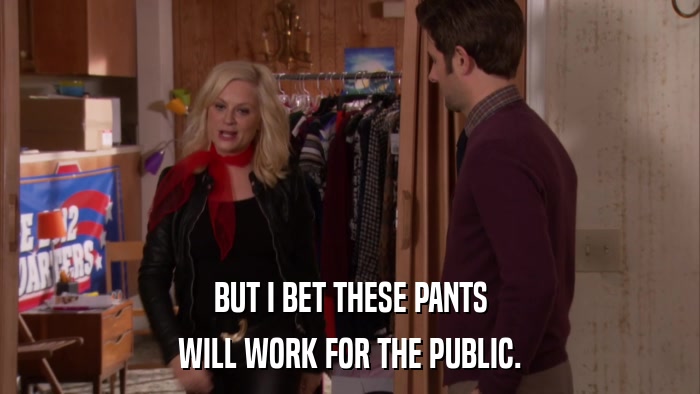 BUT I BET THESE PANTS WILL WORK FOR THE PUBLIC. 