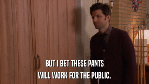 BUT I BET THESE PANTS WILL WORK FOR THE PUBLIC. 