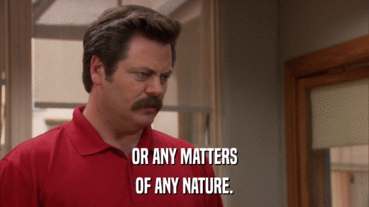 OR ANY MATTERS OF ANY NATURE. 