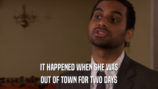 IT HAPPENED WHEN SHE WAS OUT OF TOWN FOR TWO DAYS 