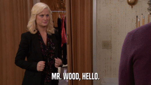MR. WOOD, HELLO.  
