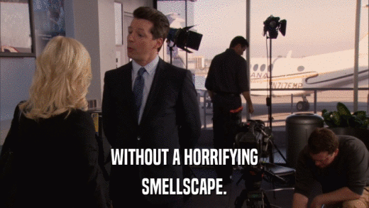 WITHOUT A HORRIFYING SMELLSCAPE. 