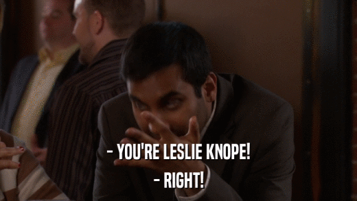 - YOU'RE LESLIE KNOPE! - RIGHT! 