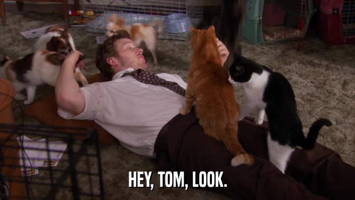 HEY, TOM, LOOK.  