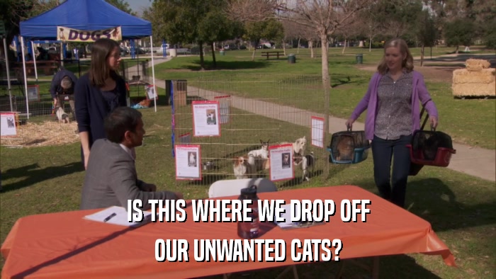 IS THIS WHERE WE DROP OFF OUR UNWANTED CATS? 