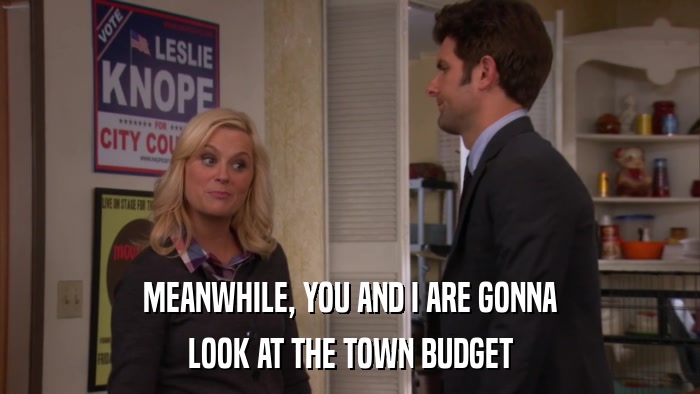 MEANWHILE, YOU AND I ARE GONNA LOOK AT THE TOWN BUDGET 