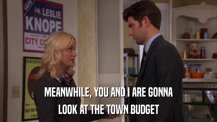 MEANWHILE, YOU AND I ARE GONNA LOOK AT THE TOWN BUDGET 