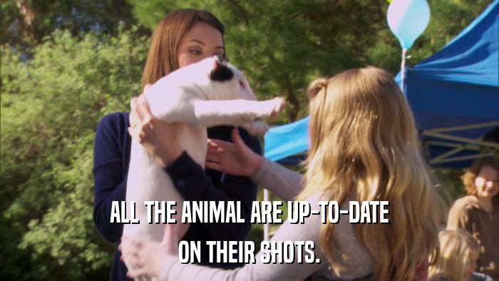 ALL THE ANIMAL ARE UP-TO-DATE ON THEIR SHOTS. 