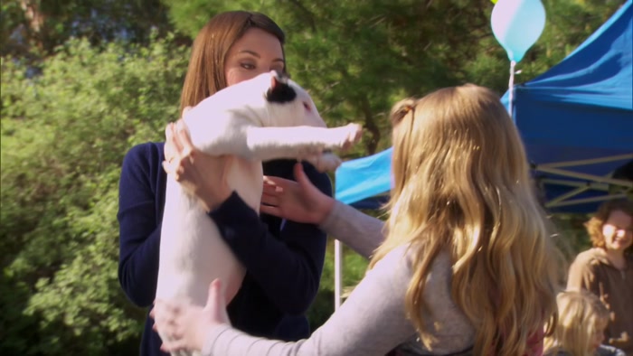 ALL THE ANIMAL ARE UP-TO-DATE ON THEIR SHOTS. 