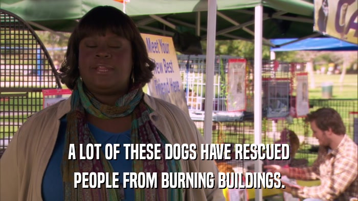 A LOT OF THESE DOGS HAVE RESCUED PEOPLE FROM BURNING BUILDINGS. 