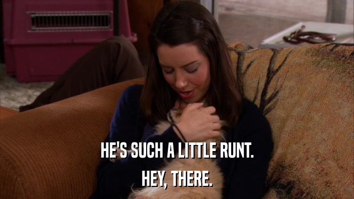 HE'S SUCH A LITTLE RUNT. HEY, THERE. 