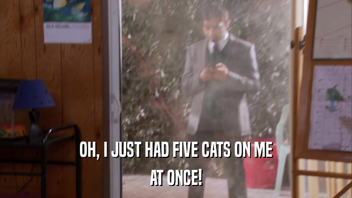 OH, I JUST HAD FIVE CATS ON ME AT ONCE! 