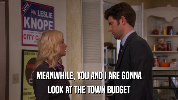 MEANWHILE, YOU AND I ARE GONNA LOOK AT THE TOWN BUDGET 