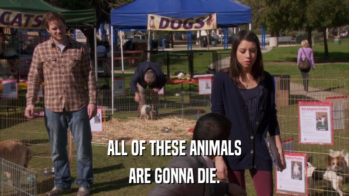 ALL OF THESE ANIMALS ARE GONNA DIE. 