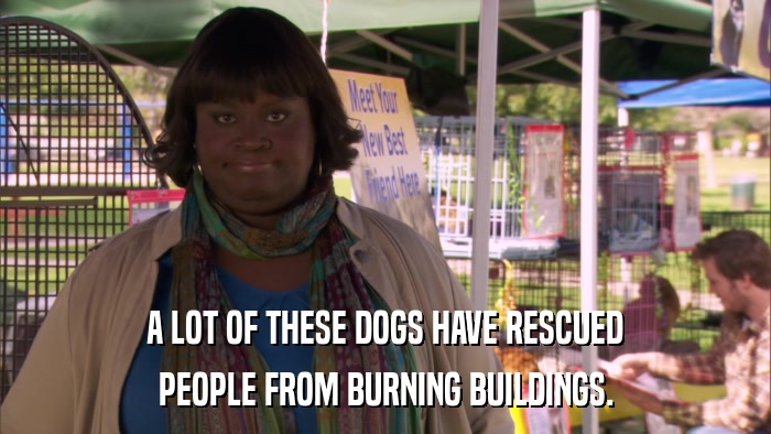 A LOT OF THESE DOGS HAVE RESCUED PEOPLE FROM BURNING BUILDINGS. 