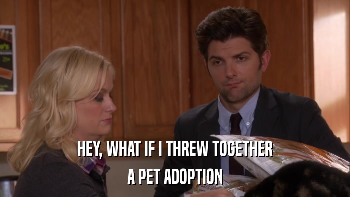 HEY, WHAT IF I THREW TOGETHER A PET ADOPTION 