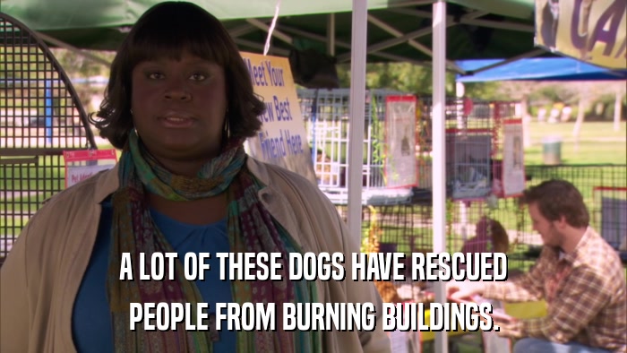 A LOT OF THESE DOGS HAVE RESCUED PEOPLE FROM BURNING BUILDINGS. 