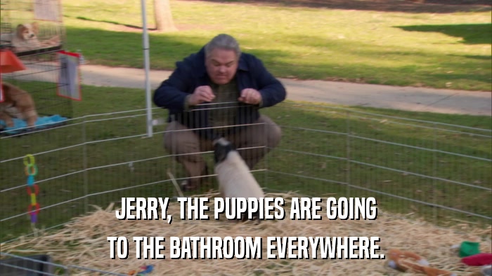 JERRY, THE PUPPIES ARE GOING TO THE BATHROOM EVERYWHERE. 