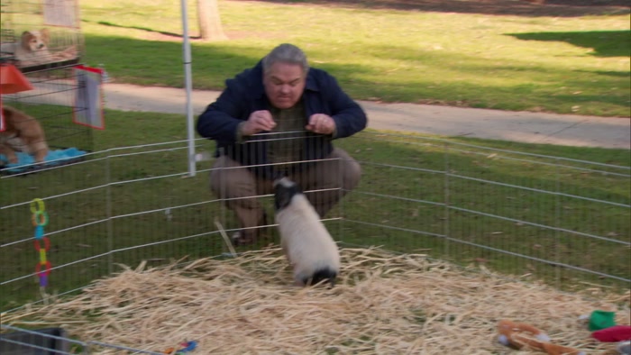 JERRY, THE PUPPIES ARE GOING TO THE BATHROOM EVERYWHERE. 