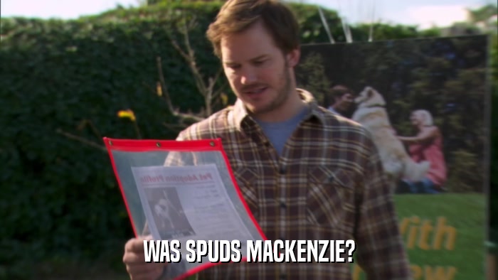WAS SPUDS MACKENZIE?  