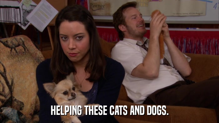 HELPING THESE CATS AND DOGS.  