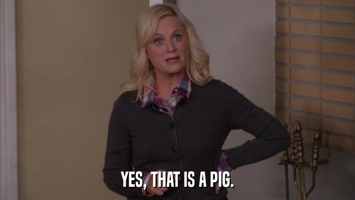 YES, THAT IS A PIG.  