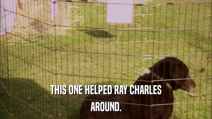 THIS ONE HELPED RAY CHARLES AROUND. 