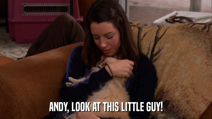ANDY, LOOK AT THIS LITTLE GUY!  