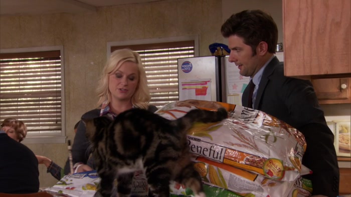 HEY, WHAT IF I THREW TOGETHER A PET ADOPTION 