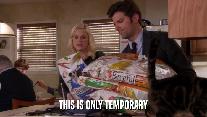 THIS IS ONLY TEMPORARY  