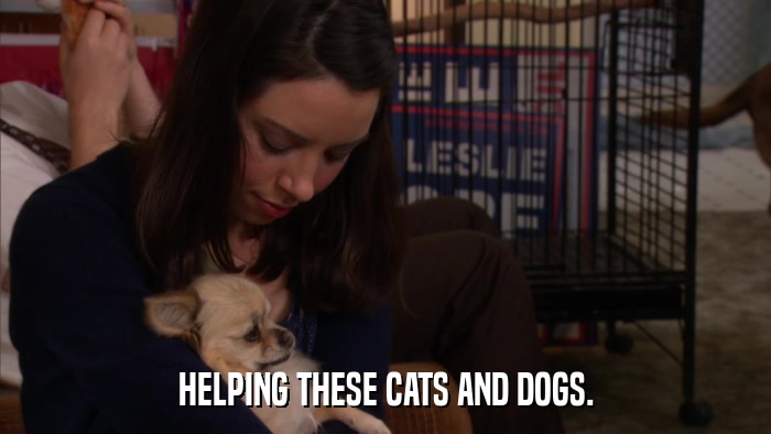 HELPING THESE CATS AND DOGS.  