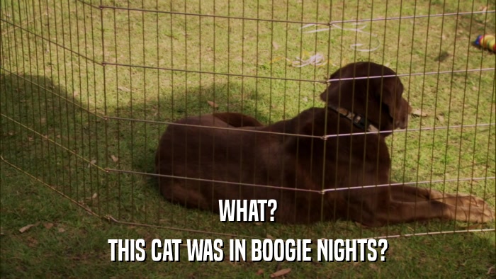 WHAT? THIS CAT WAS IN BOOGIE NIGHTS? 