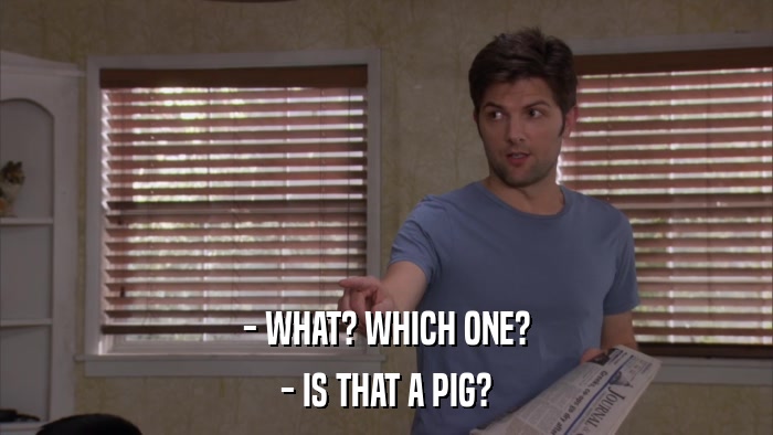 - WHAT? WHICH ONE? - IS THAT A PIG? 