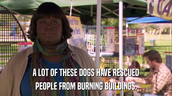 A LOT OF THESE DOGS HAVE RESCUED PEOPLE FROM BURNING BUILDINGS. 