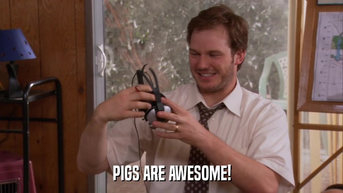 PIGS ARE AWESOME!  