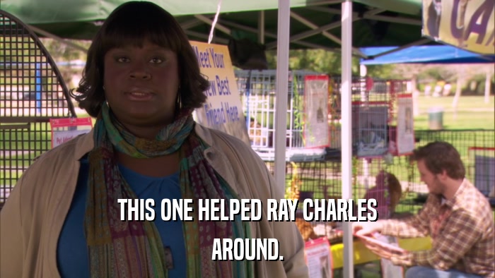 THIS ONE HELPED RAY CHARLES AROUND. 