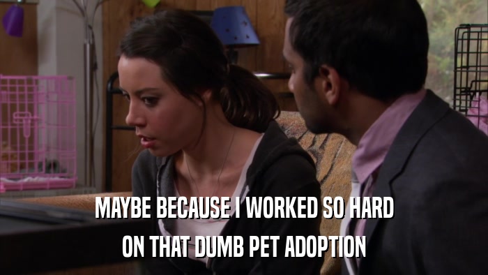 MAYBE BECAUSE I WORKED SO HARD ON THAT DUMB PET ADOPTION 